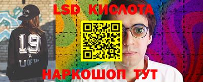 тгк Гай