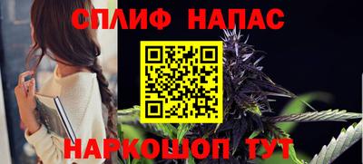 тгк Гай