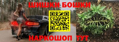 МДПВ Гатчина