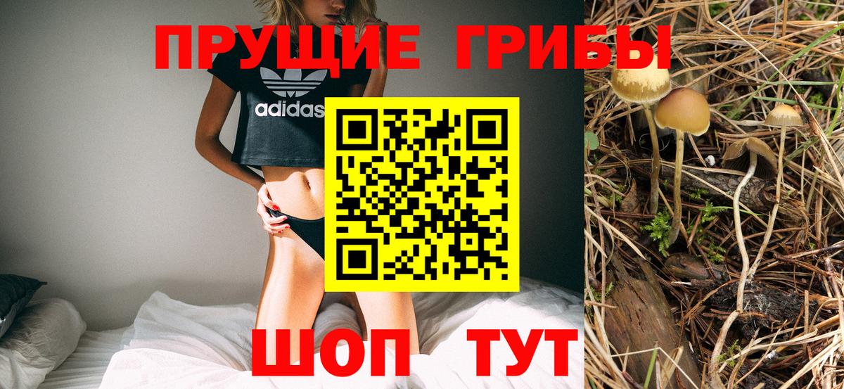 Грязи  Галлюциногенные грибы мухоморы  Псилоцибиновые грибы Psilocybine cubensis  Вход с VPN 
